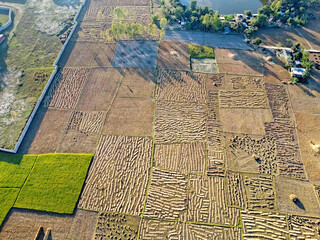 Fototapeta premium top aerial still picture of a indian village with harvested farmland in asia