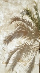 palm tree soft shadow, textured wall plaster, dubai historical building, neutal tones