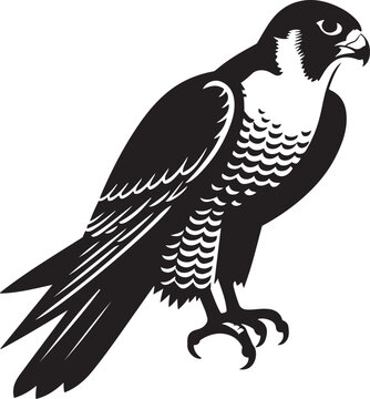 recommend clip art: Peregrine Falcon silhouette vector illustration.