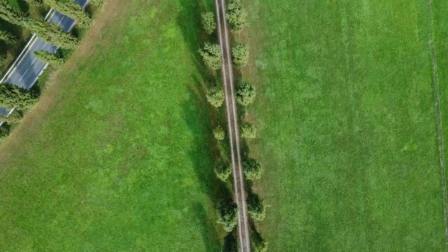 Veduta aerea con drone , lungo una strada rurale nella campagna italiana con un'auto che corre lungo la strada asfaltata vicino ad essa, puoi vedere prati verdi su entrambi i lati 