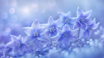  A cluster of blue blooms sits against a blue-and-white backdrop; behind them, soft lights glow