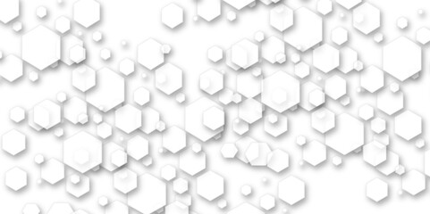 Technology hexagon honeycomb white background with shadow hexagon concept design abstract technology background, vector illustration.