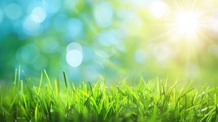 Fototapeta premium Health Background. Abstract Blurred Green and Blue Sky with Sunlight and Summertime Vibes