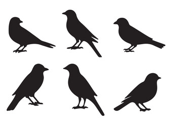 Set of bird silhouettes, Black bird vector art