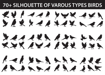 Set of bird silhouettes, Black bird vector art