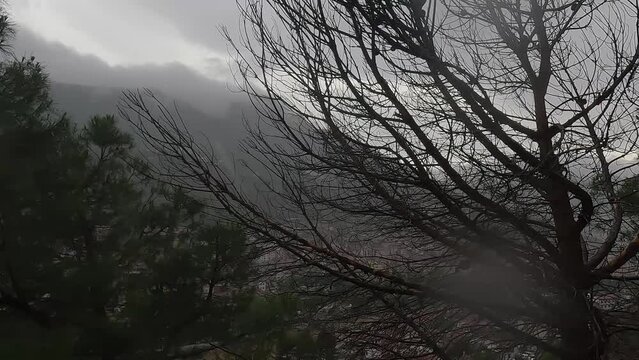 Rainy day in the mountains in Turkey. Rain and fog, mountains and houses, green plants and rain.