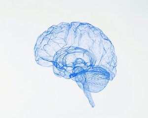 A 3D illustration of a human brain