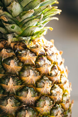 Close-up of pineapple peel, natural tropical food background.