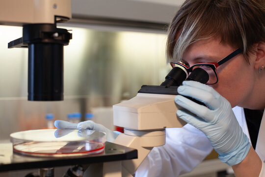 woman scientist looking at the microscope in a lab, research