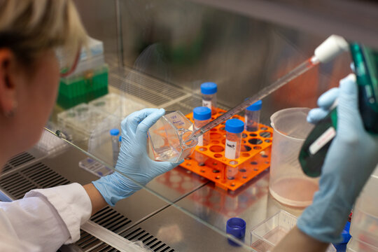 scientific research in laboratory, hands closeup with equipment