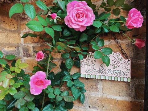 Close up Welcome sign on a brick wall decorated with roses