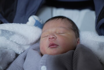 A newborn baby, swaddled in a cozy blanket, sleeps soundly, radiating a sense of calm and security.