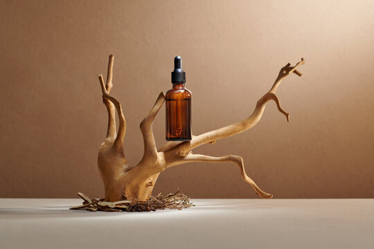 Cosmetic face serum bottle with a pipette on a dry branch