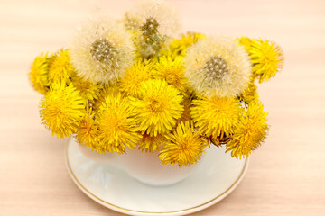 A bouquet of yellow dandelions in a white cup and saucer. On a wooden background.