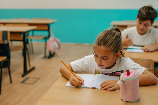 Portrait of school girl 