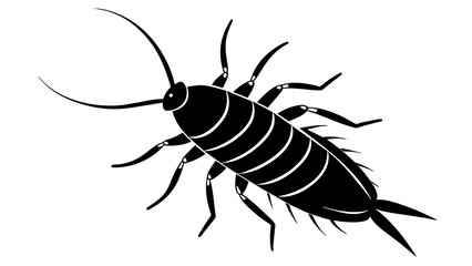 
Silverfish and svg file