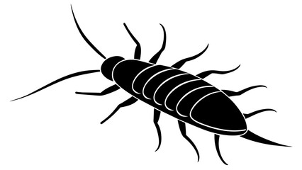 
Silverfish and svg file