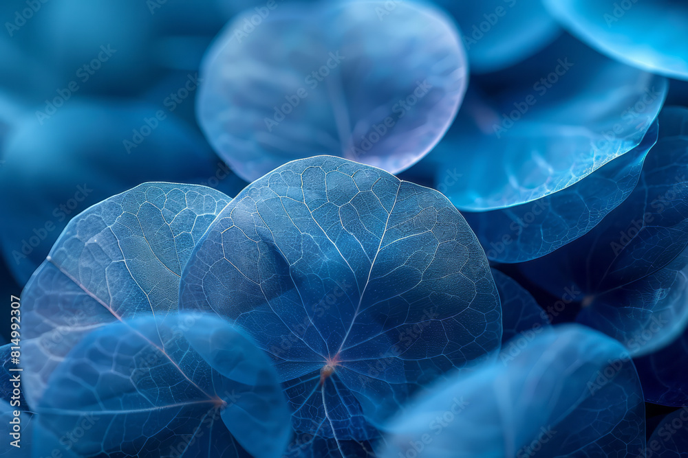 Fototapete a series of overlapping, translucent circles in shades of blue, creating a visual representation of 