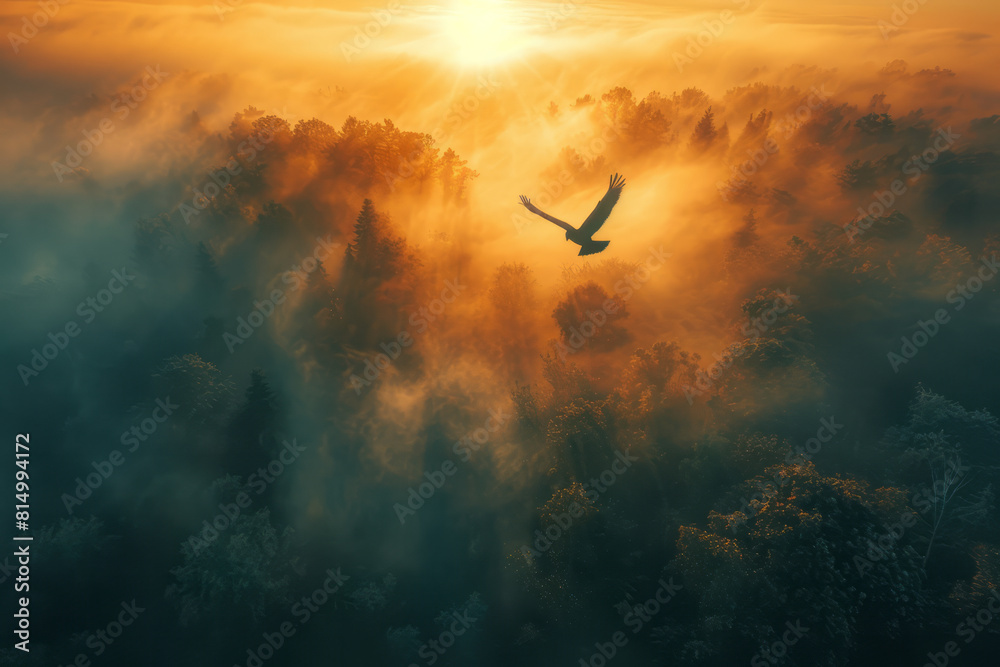 Poster Tranquil scene of a skydiver floating above a misty forest at dawn, with soft light filtering through the trees,