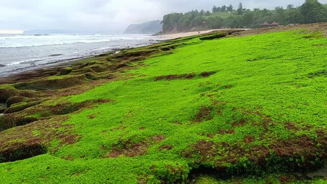 Landscape view of sea sand, moss and coral rocks on a cloudy summer day. Molang Beach, Tulungagung, Indonesia