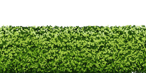Green hedge of boxwood bushes in the form of a seamless endless pattern. Fence made of plants with leaf texture. Vector illustration isolated from background. Evergreen bg.