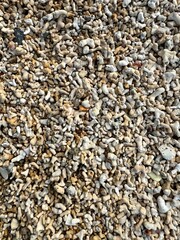 corral pebbles on the beach, Ireland