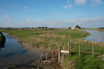 marais; region Pays de Loire; marais Breton; 85, Vendée, Loire Atlantique, France
