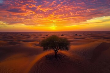 A single tree stands tall in the desert as the sun sets, casting long shadows on the sandy landscape - Powered by Adobe