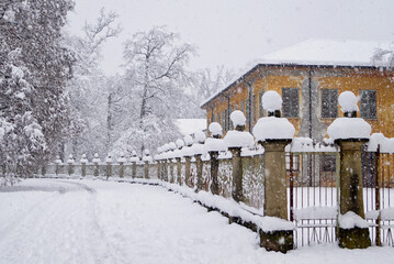 Nevicata invernale nel parco di Monza presso il viale della villa mirabellino