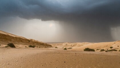 desert during the rain
