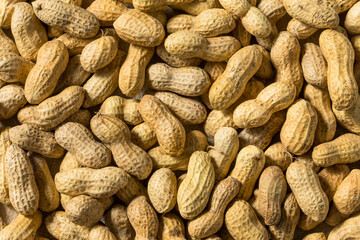 Fototapeta premium Brown Organic Raw Peanuts
