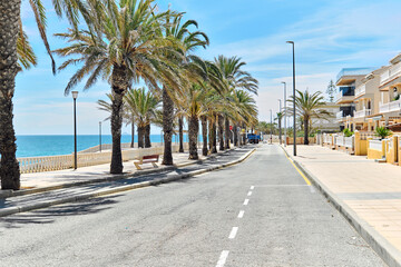 Picturesque seafront palm-tree lined promenade of Torre de la Horadada. Empty pedestrian walkway...
