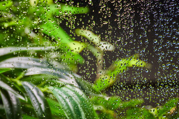 Raindrops on Window with Lush Garden View, Interior Perspective