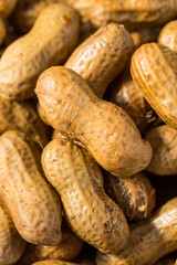 Spicy Southern Cajun Boiled Peanuts