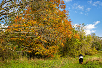 Bruce trail trekking during autumn in Ontario, Canada