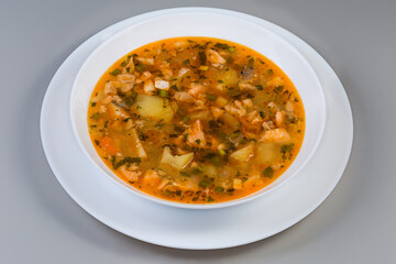 Portion of clear salmon soup on gray background, close-up