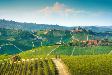 Langhe vineyards landscape and Castiglione Falletto. Piedmont, Italy