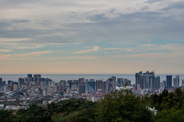 View of the city and sea from a hill. Dense vegetation in the foreground. Beautiful sky on the...