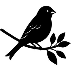 Obraz premium bird on a branch