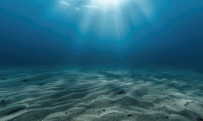 Fototapeta premium Caustic effects on the sandy seabed surface