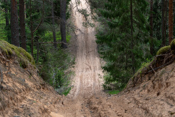 Sandy forest track with steep slope between trees with blunt foreground in vertical look.