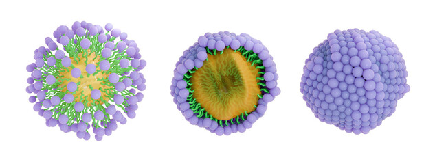 Soap molecules surrounding and capturing dirt froming micelles. The hydrophobic tail is attracted to grease and oily substances and the hydrophilic head is attracted to water. 3d illustration