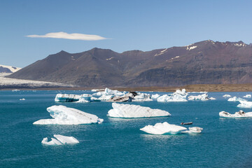 a stunning panoramic view over the unique breathtaking and iconic Jökulsárlón lagoon lake in iceland. With big icebergs on the water. 