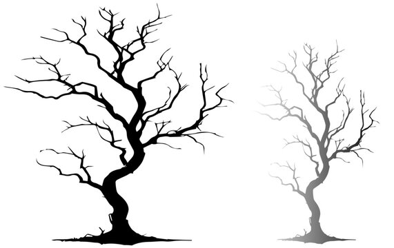 silhouette of a tree Tree without leaves silhouettes bundle Set of scary tree dead tree silhouettes Leafless tree set vector