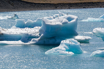 a close view over the big and breathtaking swimming floating glaciers on the famous Jökulsárlón...