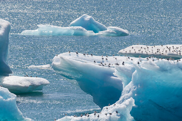 a close view over the big and breathtaking swimming floating glaciers on the famous Jökulsárlón lagoon lake in iceland