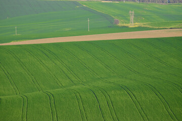 Obraz premium Empty green fields in Turkey