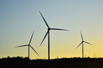 Renewable Wind Energy Panels Wind Vanes