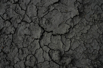 texture of the drought