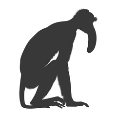 Silhouette Proboscis monkey animal black color only